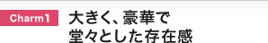 Charm1 �傫���A���؂œ��X�Ƃ������݊�