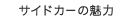 �T�C�h�J�[�̖���