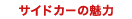 �T�C�h�J�[�̖���